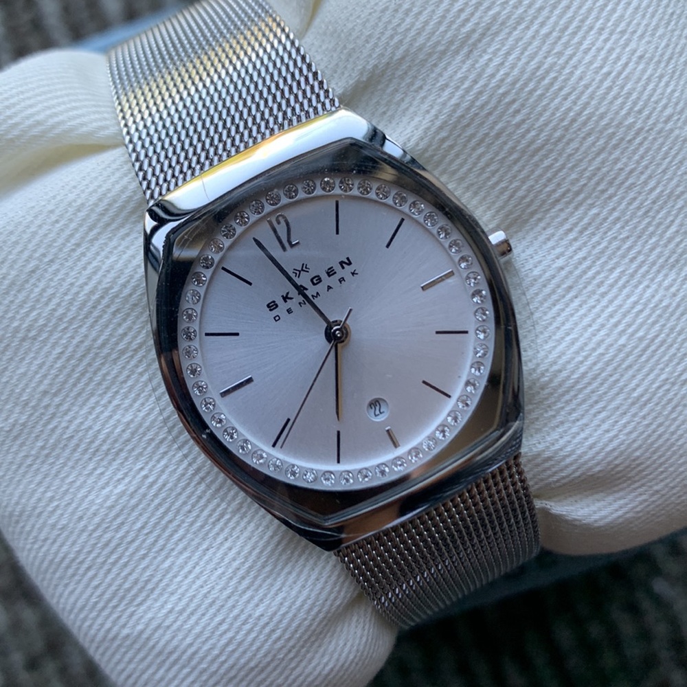 Skagen Denmark Stainless Steel/Silver Watch